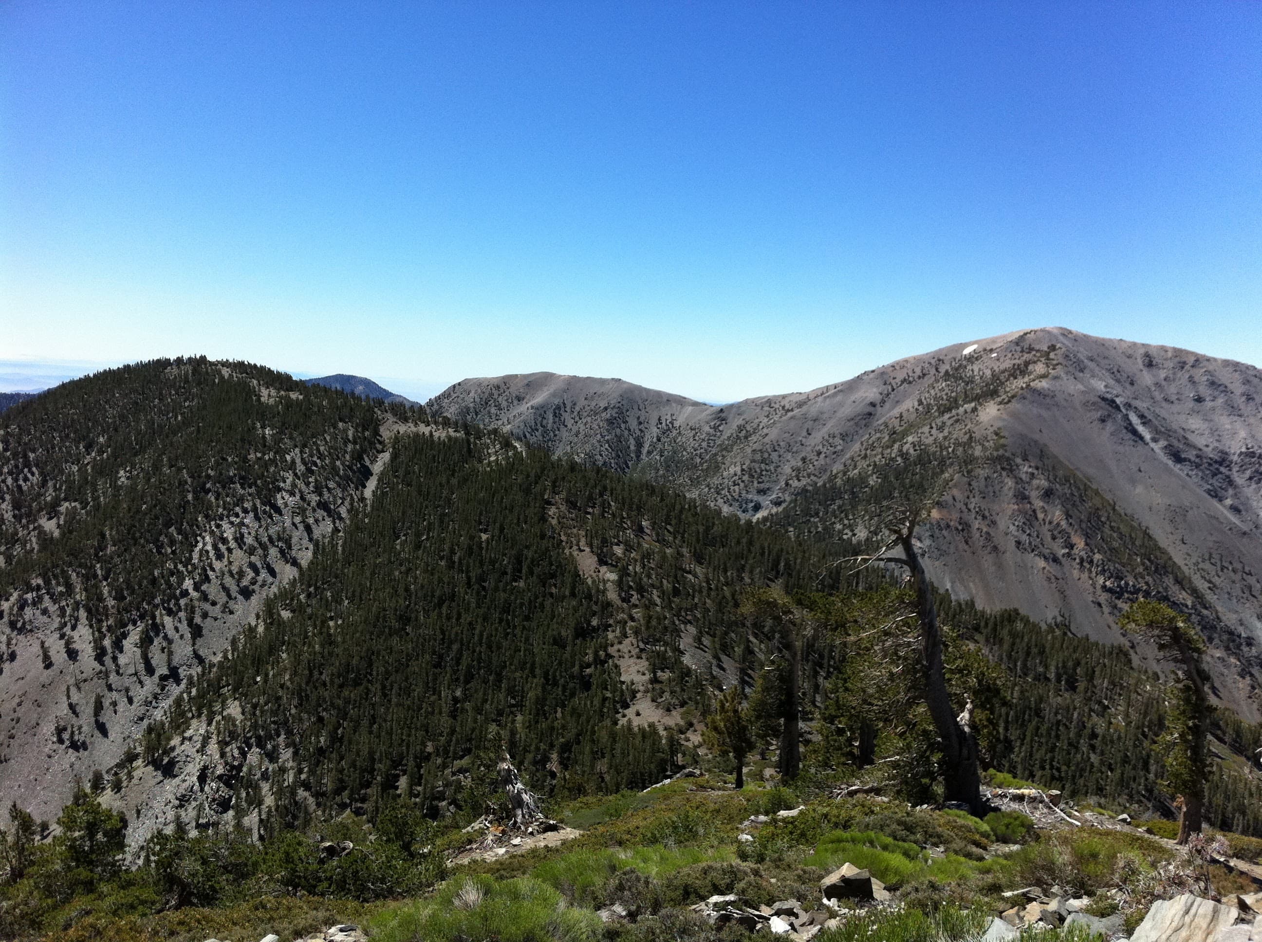 Setting up a Hashnode blog with AWS Route 53