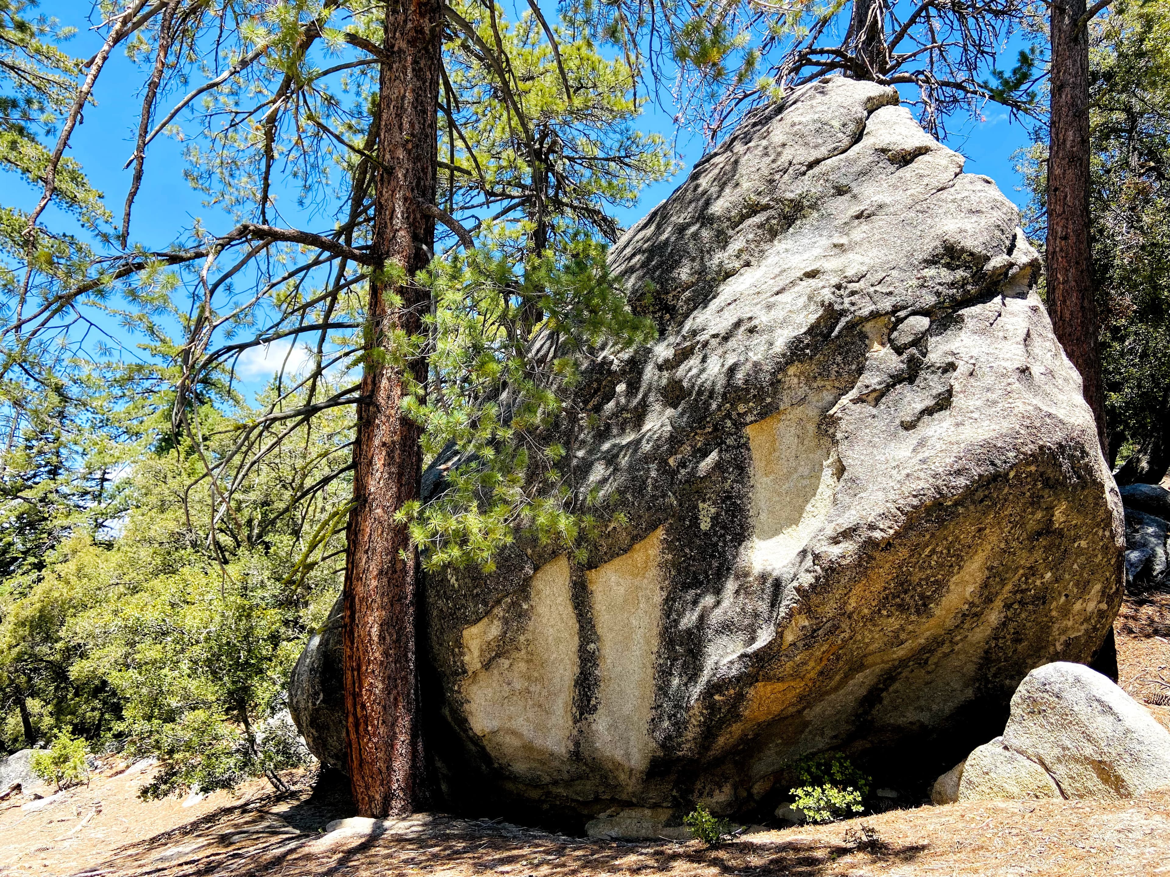 Thoughts on my WFH setup