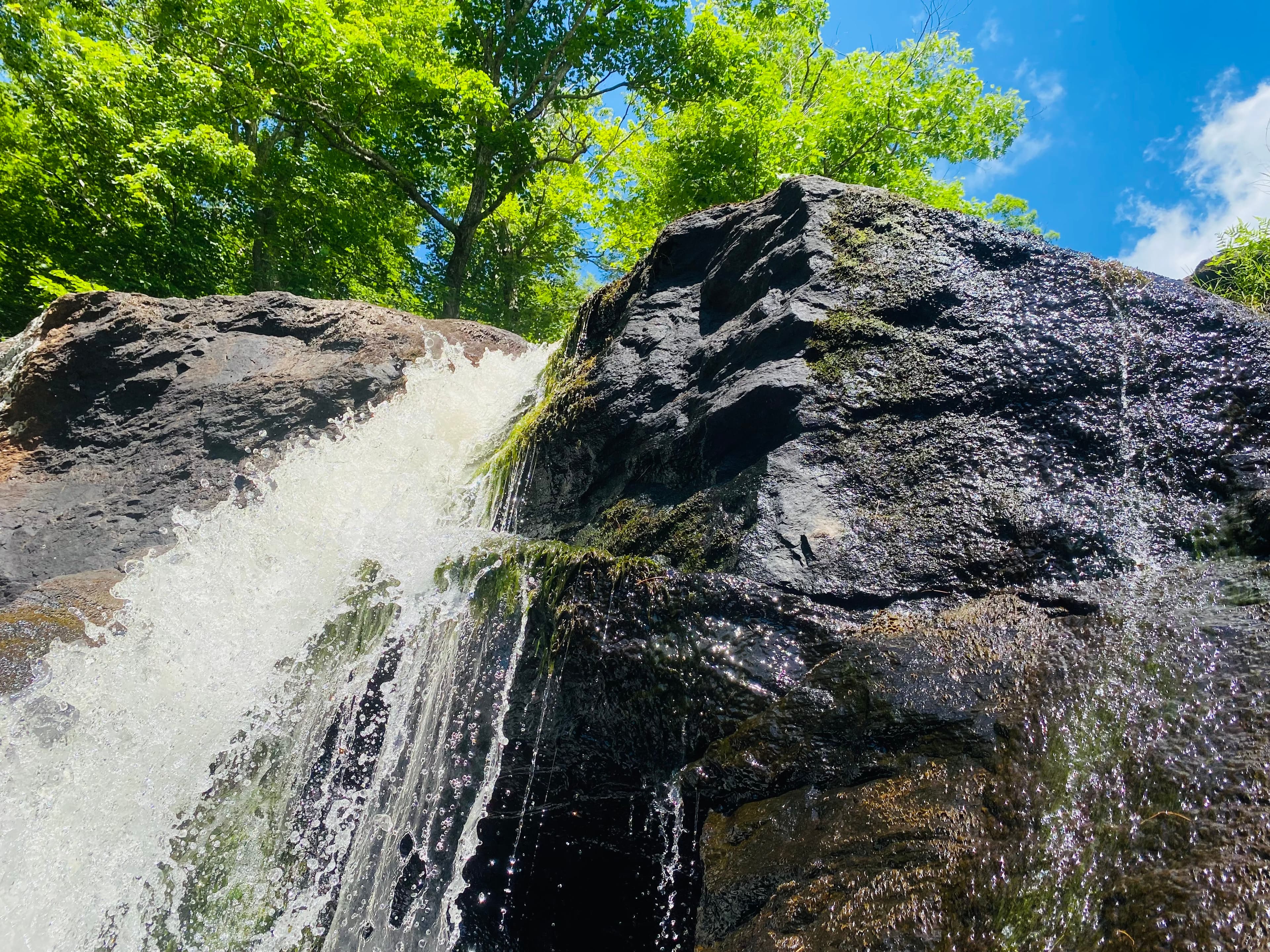 Utilizing SendGrid SMTP relay to setup a Discourse server